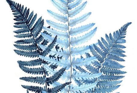 Indigo Fern Leaf Watercolor Botanical Print - Sold on Etsy - artist Jenni Pirmann
