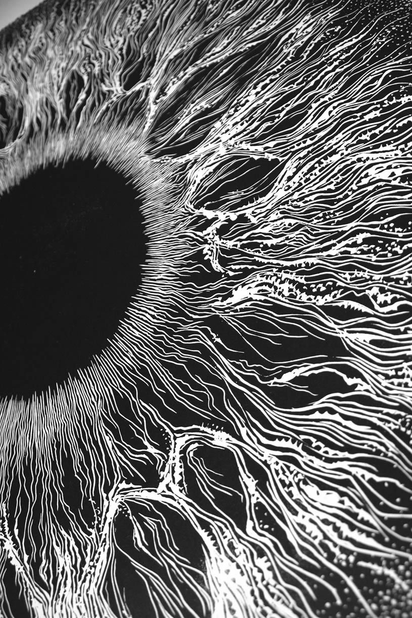 Close-up of Telepath by Orr Gidon