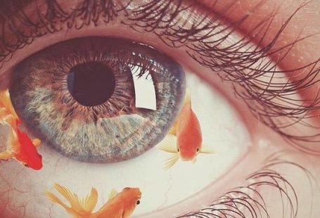 Sara Shakeel is a conceptual collage artist who likes to trade out the more ordinary parts of life for glimmering, glistening fields of crystalline te...