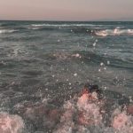 Kokosnuss Choc Chip Hafer Kekse