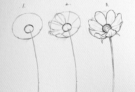 Korean Artist Uploads Step By Step Tutorials On How To Draw Beautiful Flowers