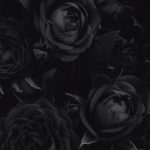 black roses #wallpaper #lockscreen