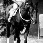 Ruffian- was it possible she was as fast or faster than Secretariat? Sadly, she