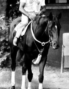 Ruffian- was it possible she was as fast or faster than Secretariat? Sadly, she