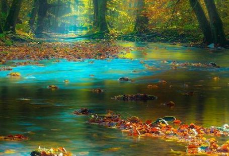 Magic light in the Spessart Mountains of Bavaria, Germany