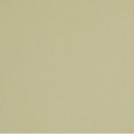 Mayer Fabrics Peerless Fabric (Set of 2) Color:
