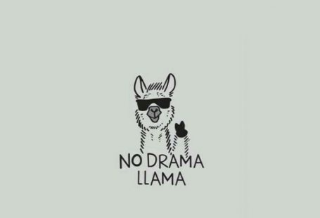NO drama llama