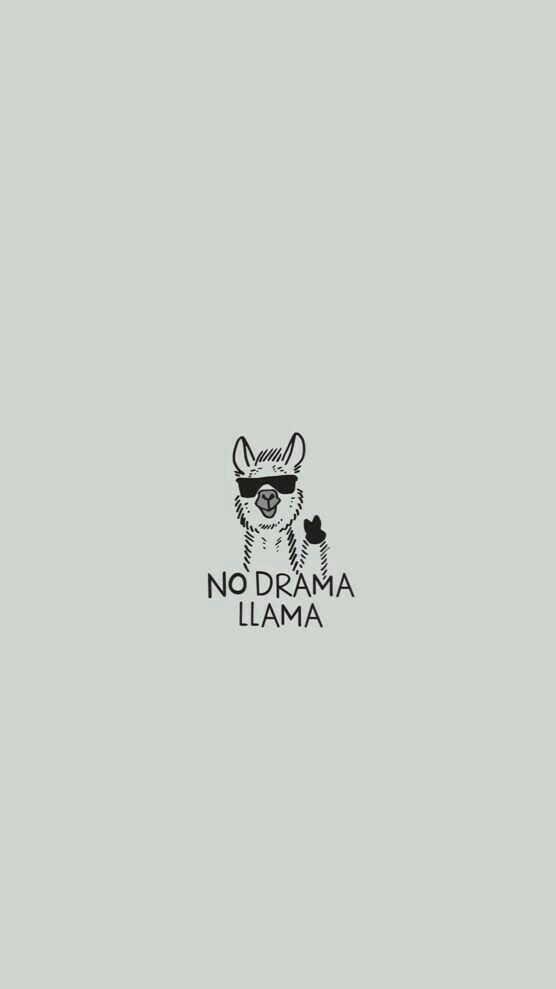 NO drama llama