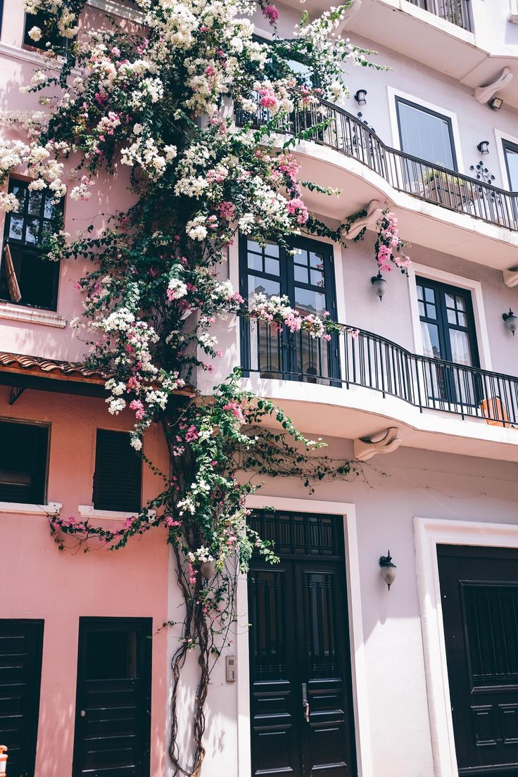 Panama City Travel Diary | Jess Ann Kirby