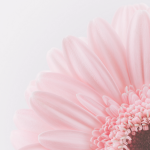 Pink is always there for you when you want to elevate your home decor and bring some femininity and color along with it.
