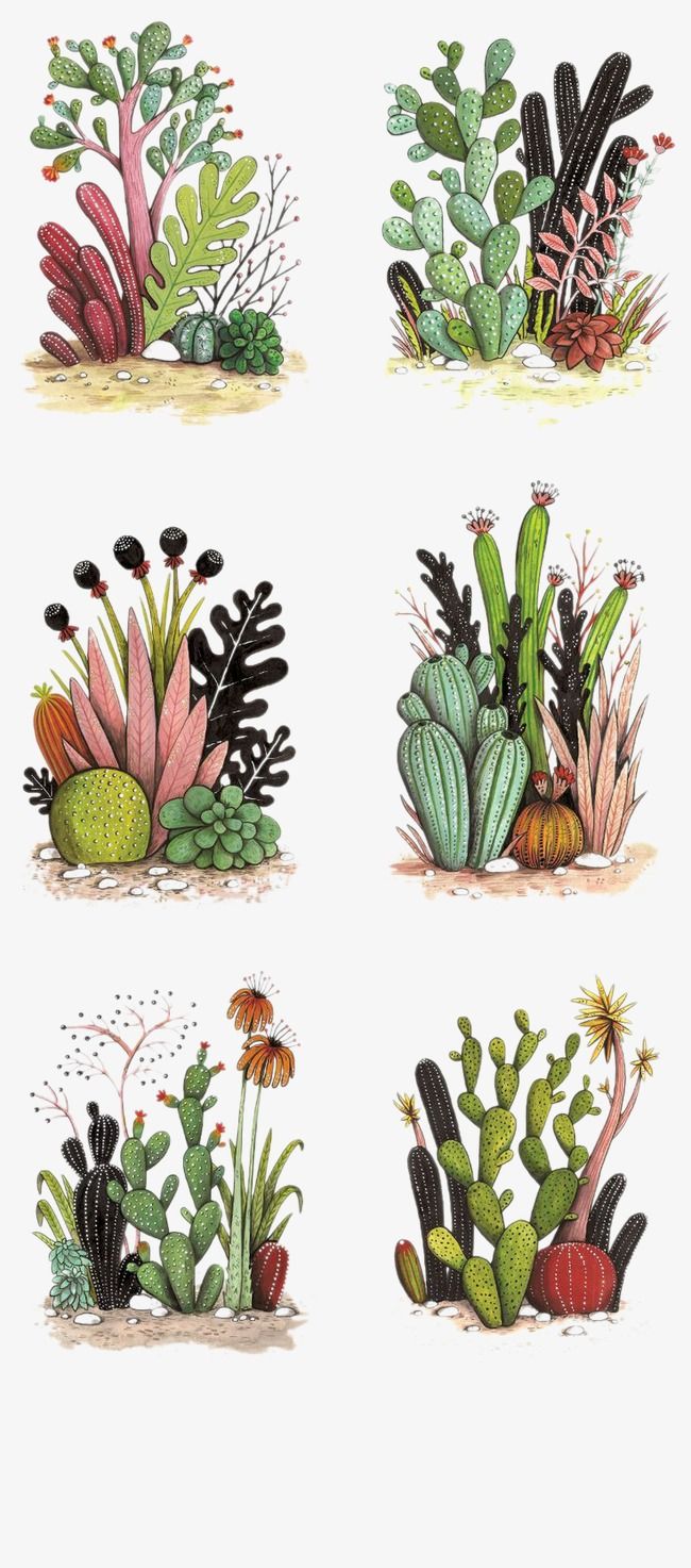 Plant PNG and PSD