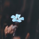 Propelled #landscape #nature #photography #wallart #outdoors