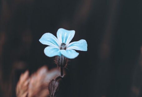 Propelled #landscape #nature #photography #wallart #outdoors