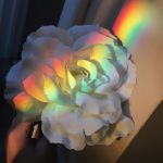 Rainbow Aesthetic - #aesthetic #rainbow - photofind.online/...