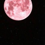 Reflection Questions for the Full Snow Moon, Feb 14th, 2014