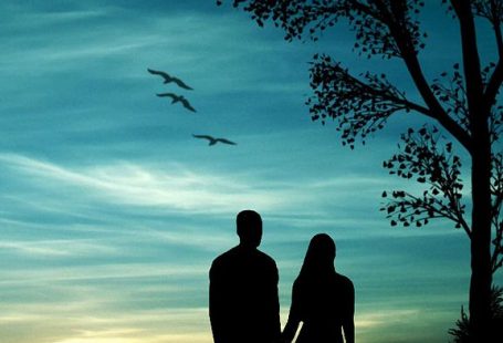 Romantic-Sunset-iphone-5-wallpaper-wbix