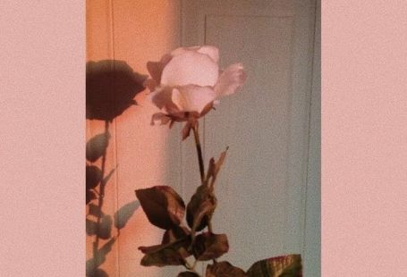 - Room makeover 2k19 #flowershintergrundbilder - Room makeover 2k19 , #2k19 #Makeover #Room
