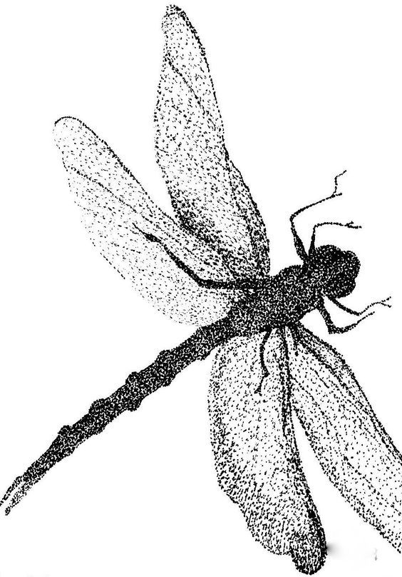 stipple-art-8