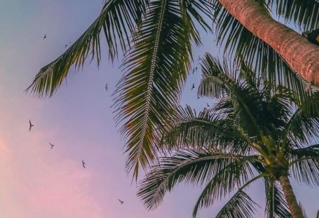 Sonnenuntergang Ansichten #Sommer -  Juna Rosenfeld - #Ansichten #Sommer #Sonnenuntergang