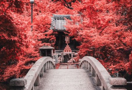 Beautiful photo of the foliage at the Nanzenji temple in Kyoto, one of the most beautiful temples in Kyoto. Click for inspiration for the best temples to visit in Kyoto. #travel #asia #japan #kyoto