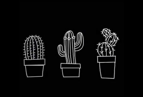 There are a few wallpapers I