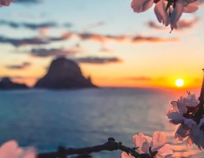 Cute Backgrounds