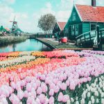 Top things to do in the Netherlands! See the canals of Amsterdam, fields of tulips, Anne Frank Museum, Cube Homes of Rotterdam, and Zaandam Netherlands. #avenlylane #avenlylanetravel #netherlands