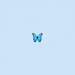 VSCO - cute-wallpapers-lockscreens