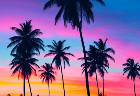 Venice Beach via Rock n Roll Bride