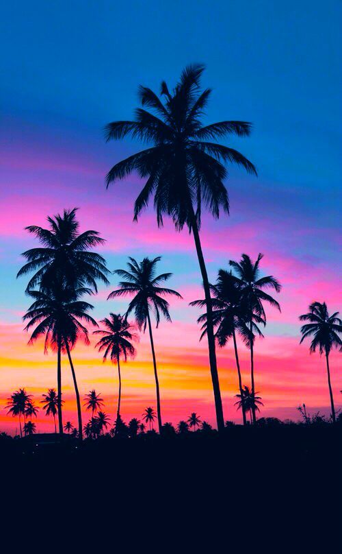 Venice Beach via Rock n Roll Bride