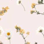 Wallpaper Bem Me Quer by Gocase #iphonebackgrounds Gocase, lovegocase, wallpaper, papel de parede, girly, background, fundo de tela, celular, iphone, android, cellphone, #gocase, #lovegocase, #wallp