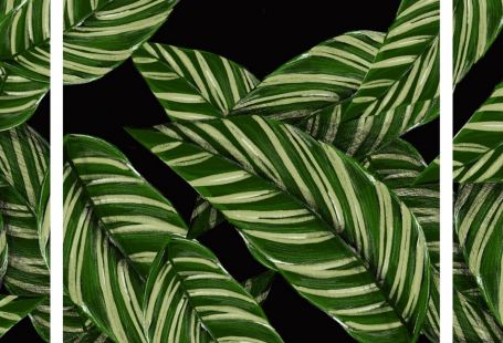 Wallpaper para celular feminino gratuito para baixar