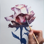 Enjoy watching the creative process behind this watercolor painting, how this beautiful rose is created and click if you want to see more videos in the blog! All painted by the visual artist Laura Manteca Martin from Ink Imaginarium. . . . . #watercolorvideo #watercolorprocess
