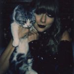 taylor swift cats aesthetic lover
