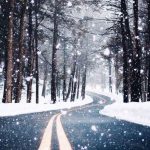 Winter iPhone Wallpapers - 28 Cute Winter iPhone Backgrounds [FREE Download] - Even if you are not fond of winter, this collection of winter iPhone wallpaper photos will give you more reasons to like this time of the year! Winter iPhone backgrounds #iphone #iphonewallpaper #winter