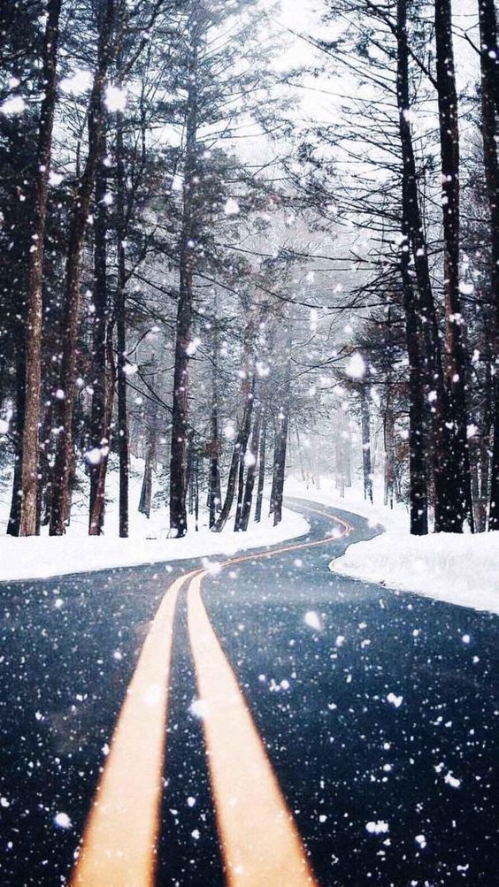 Winter iPhone Wallpapers - 28 Cute Winter iPhone Backgrounds [FREE Download] - Even if you are not fond of winter, this collection of winter iPhone wallpaper photos will give you more reasons to like this time of the year! Winter iPhone backgrounds #iphone #iphonewallpaper #winter 
