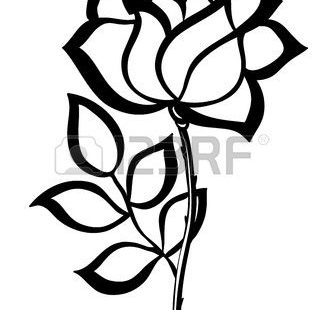 black silhouette outline rose isolated on white Many similarities in the profile of the artist Stock Vector
