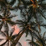 - fondos #samsung wallpapers #wallpapers, #fondos #samsung #Wallpapers