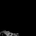 iPhone X Wallpapers: 35 Great Images For An Amoled Screen