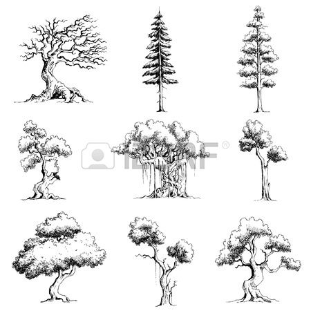 illustration of set of tree on isolated white background
