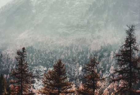 imageslindas #wallpapercollection #coolwallpaper #autumnphonewallpaper #fallwallpapertumblr