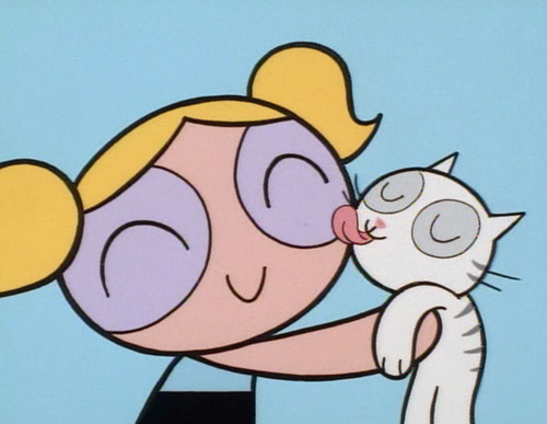 kittennnnnn!!!!