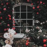 samsung wallpaper pastel #Hintergrundbild #tapete #beautifulflowerswallpapers samsung wallpaper pastel #Hintergrundbild