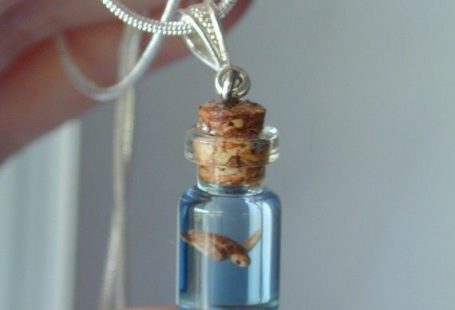 sea turtle in a bottle
