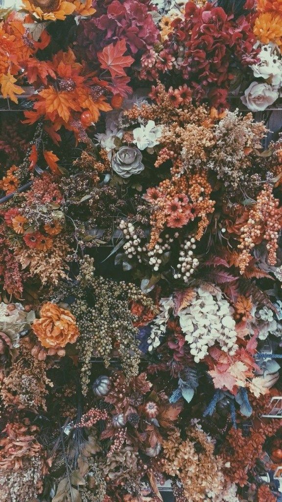 wallpaper 37 #falliphonewallpaper The post wallpaper 37 appeared first on Fosforlu Düşünceler! - fosforluhanim.