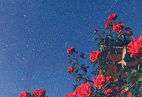 ☆彡 pinterest