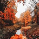 ☁︎·̩͙✧  ☁︎·̩͙✧ #autumncolors ☁︎·̩͙✧  ☁︎·̩͙✧
