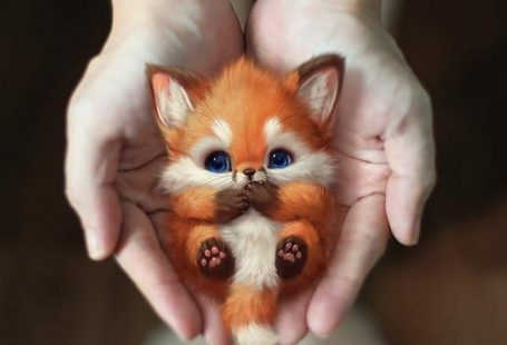 @miillustrations auf Instagram: artist @art_of_silverfox LITTLE ANIMALS, #animals #artist #artofsilverfox #auf #Instagram