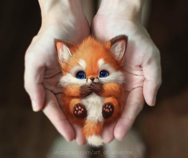 @miillustrations auf Instagram: artist @art_of_silverfox LITTLE ANIMALS, #animals #artist #artofsilverfox #auf #Instagram 