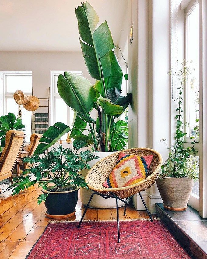 How To Make Your Home The Ultimate Boho Retreat This Fall | Posh Pennies